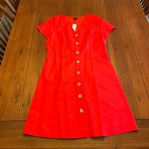 *NWT* Ann Taylor Dress